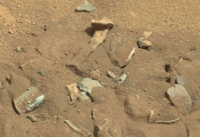 ¿"Huesos" y utensilios de excavación primitivos?