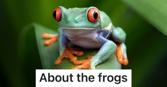  title=