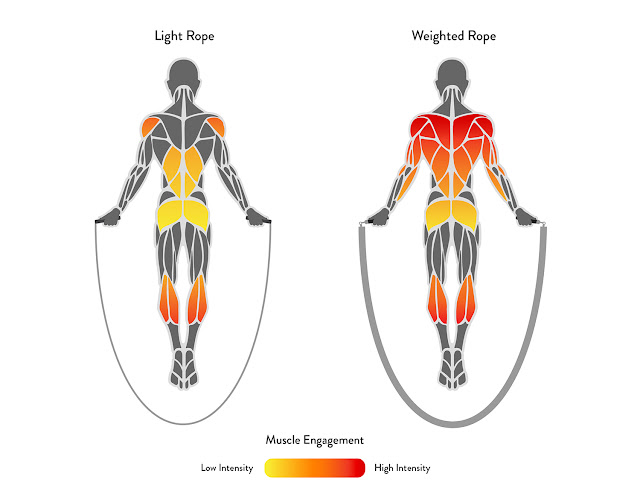 efficient-muscle-graphic-111318-2.jpg