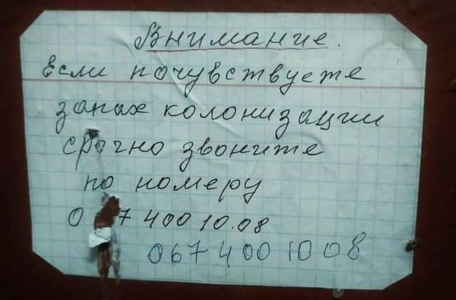 aHR0cHM6Ly9pYy5waWNzLmxpdmVqb3VybmFsLmNvbS9pYmlnZGFuLzgxNjEwOTkvMTYxOTIyNTMvMTYxOTIyNTNfb3JpZ2luYWwuanBn