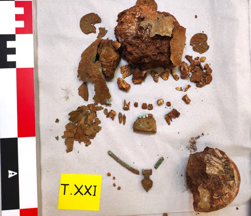 590272882_1265926805580584_3014638920136