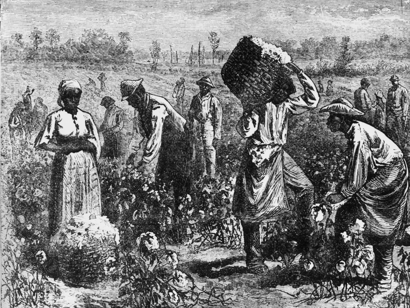 An etching of slaves picking cotton in a plantation field.
