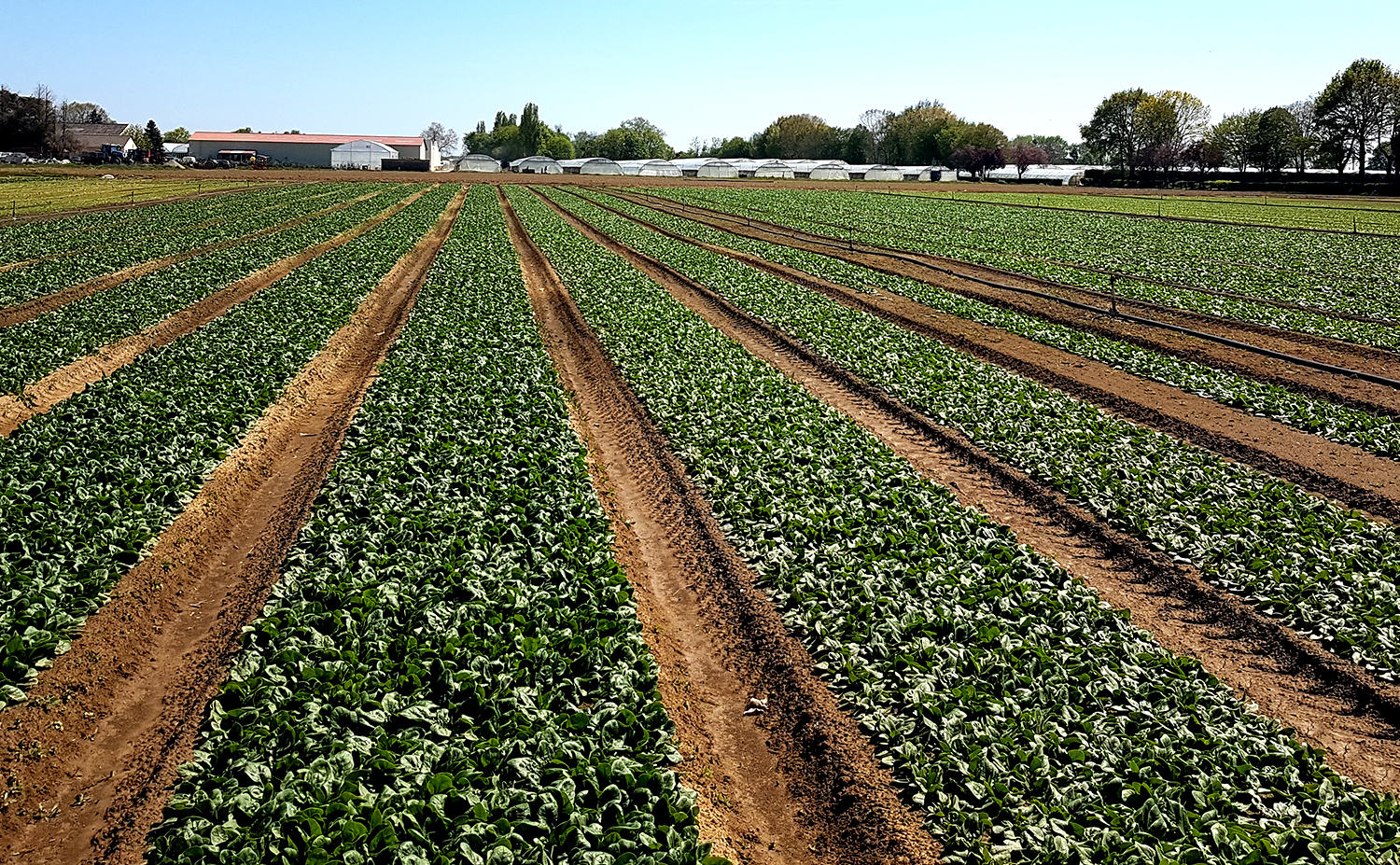 La grande exploitation dans un nouvel âge du capitalisme agricole et des rapports villes–campagnes