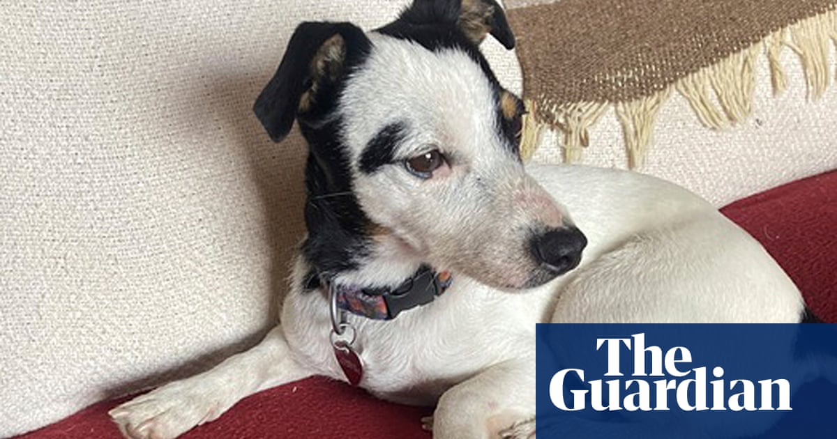 3000.jpg?width=1200&height=630&quality=8