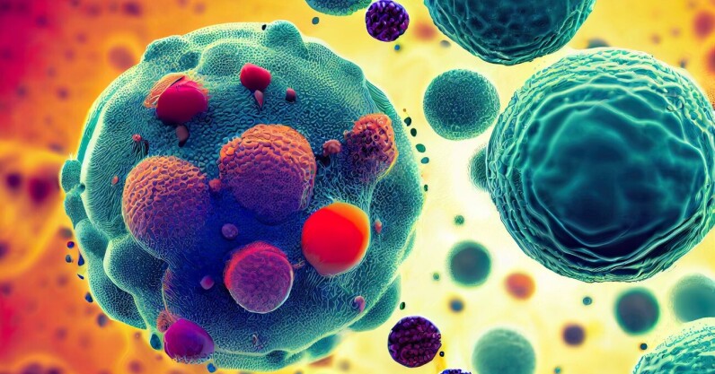 image?fit=796%2C417&url=https%3A%2F%2Fcd