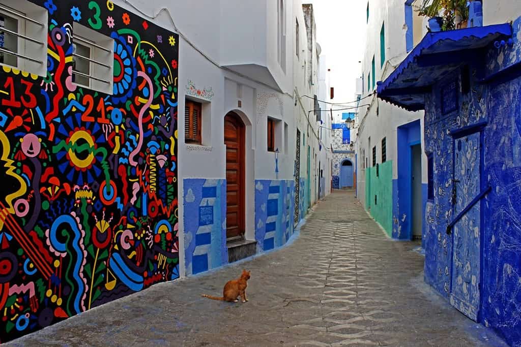 الرسوم الجدارية على جدران المنازل