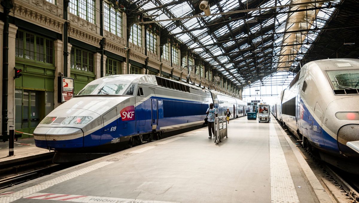 SNCF : le train est-il devenu trop cher ?