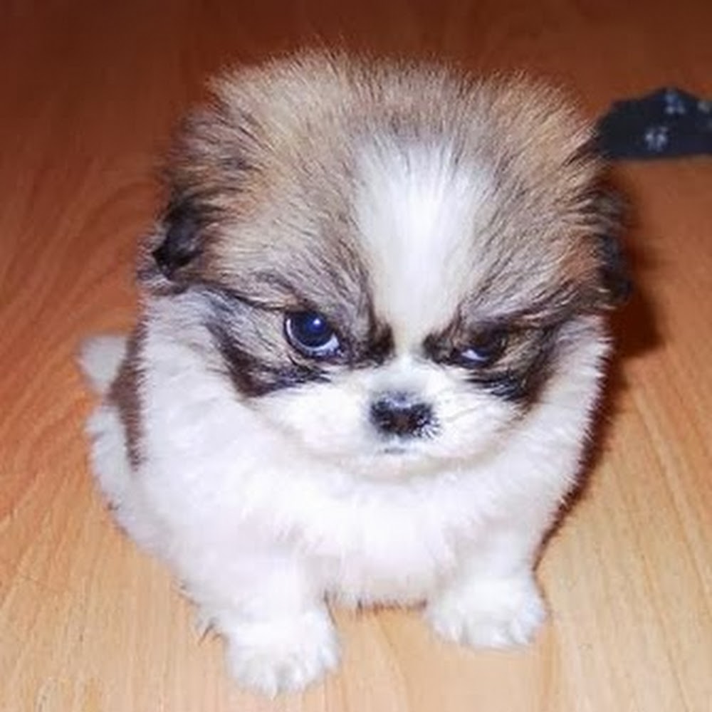 �������� � �� ������ ���� �����